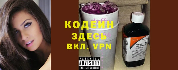 винт Няндома