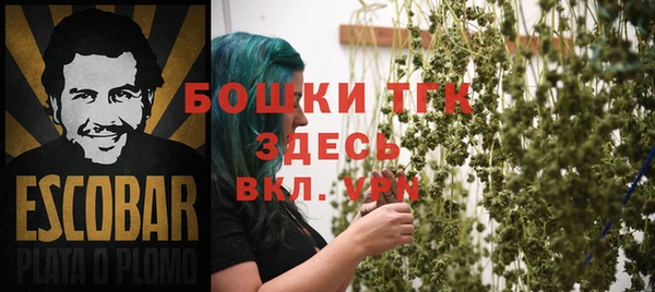 винт Няндома