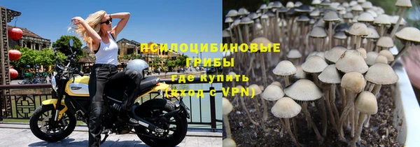 стаф Нязепетровск