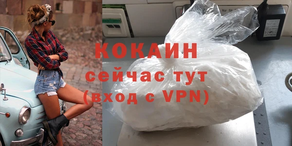 винт Няндома