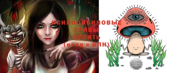 винт Няндома