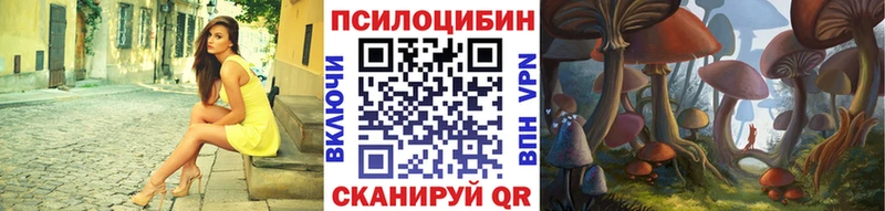 закладки  Олонец  Псилоцибиновые грибы ЛСД 