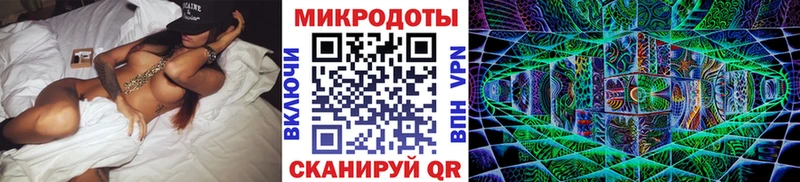 Галлюциногенные грибы Psilocybe Олонец